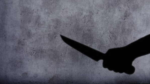 Ақша үшін жақын досын бірнеше жерден пышақтап, мәйітін өртеп жіберген