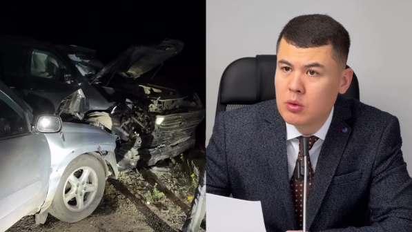 Белгілі қазақстандық блогер жылқының кесірінен жол апатына түсті (видео)