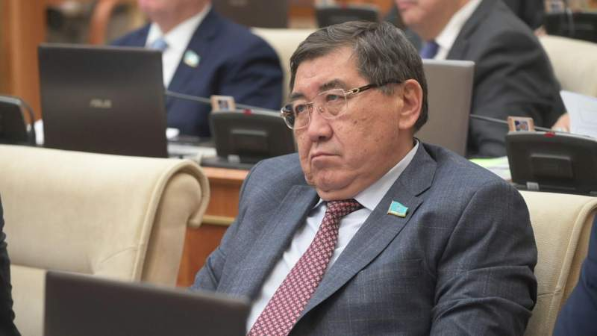 “Қымбатшылықтан соншалықты қиналған халықты көрмедім” - Мәжіліс депутаты шулы мәлімдеме жасады (ВИДЕО)