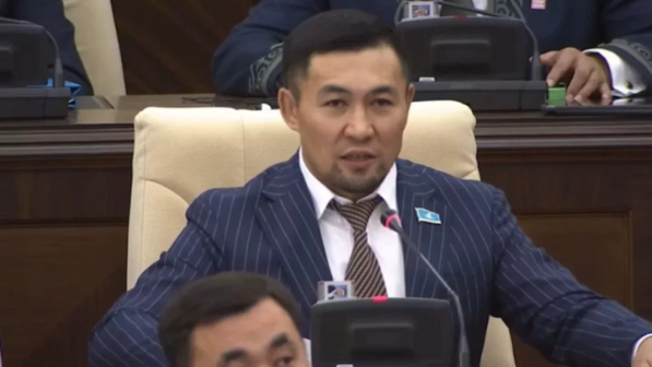 Назаровтың анасын құттықтауы Мәжіліске өзгеріс жасауға себеп болды