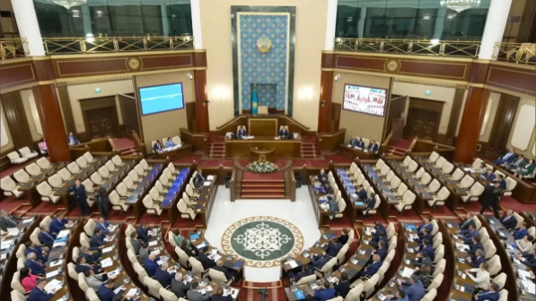 Сенат жасанды интеллектке қатысты заңды Мәжіліске қайтарды