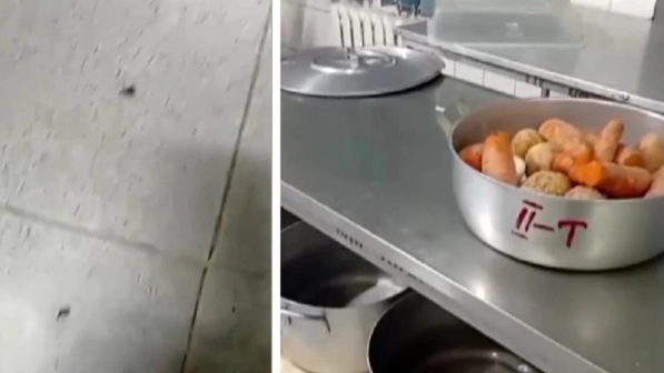 "Ботқа ішінен тірі жәндіктер шыққан". Алматыдағы балабақшада тарақандар қаптап, жәндіктер өріп жүр деп хабарланды