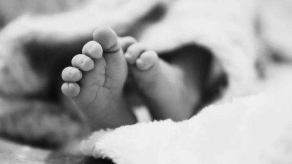 “Қоқыс жәшігінен нәрестенің денесі табылған”  - Кентаудағы сұмдық оқиға туралы  ақпарат шықты