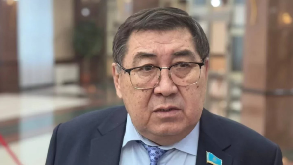  "Одан артық қандай үрей болуы мүмкін?" - депутат Бапи Тәуелсіздік күніндегі полицияның іс әрекетіне сын айтты 