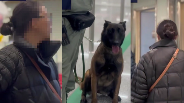 “Түркияда тұтқындалды” - Алаяқтыққа күдікті Қызылордалық әйел туралы тың ақпарат шықты (ВИДЕО)