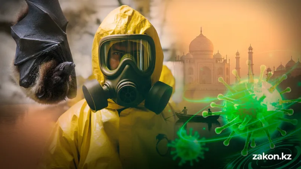 Шұғыл! Нипах вирусын жұқтырмау үшін адам не істеу керек? – маман кеңесі