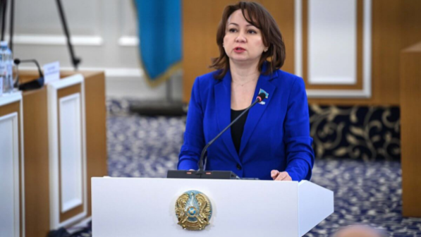 Жаңа Конституция қабылданса, медицина мен білім тегін болмай ма?