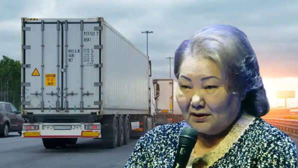 Әнипа Назарбаеваға қатысты компания өзін банкрот деп тануды сұрады