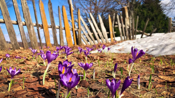 +30: Қазақстанда қай өңірлерде күн күрт жылынады? 