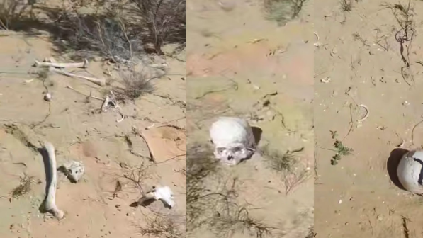 «Адам сүйектері шашылып жатыр»: Атырау облысы тұрғындары сұмдық жайтты айтты (ВИДЕО)