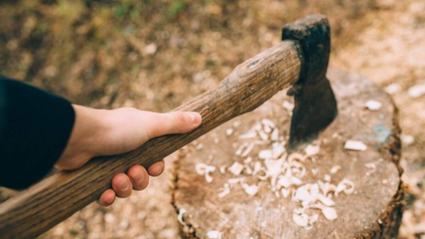 Алматыда оқушы қыз мектепке балта алып барған