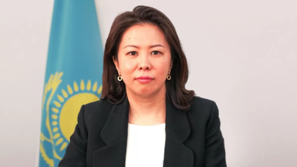 Депутат Қазыбек Иса Мәжілісте министрлік өкілін сынға алды
