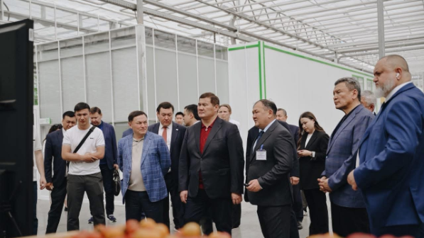 “Міндеттер жүктелді. Сақадай сай болуы керек”: Нұрлыбек Нәлібаев СҚО-ға жұмыс сапарымен барды