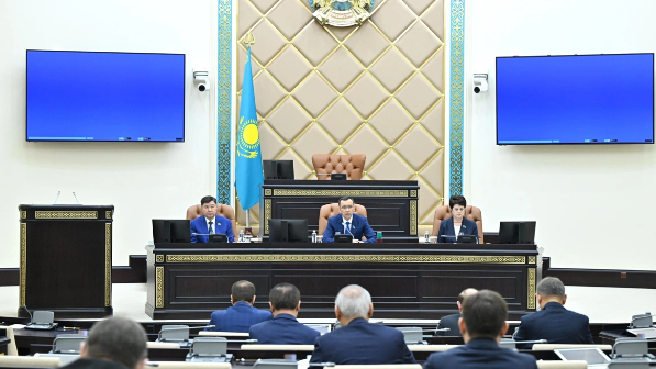 Сенат депутаттары «Психологиялық қызмет туралы» заңды мақұлдады