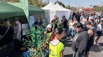 Almaty Marathon-да қайта өңдеуге жіберілетін қалдықтар жиналды